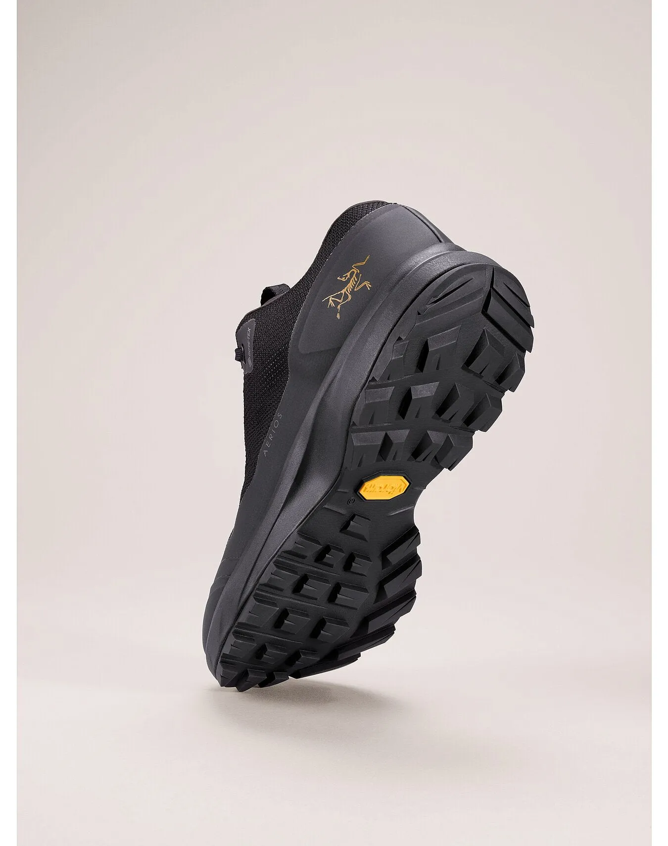 Aerios GTX Shoes (Women's) - X000006325 - Past Season