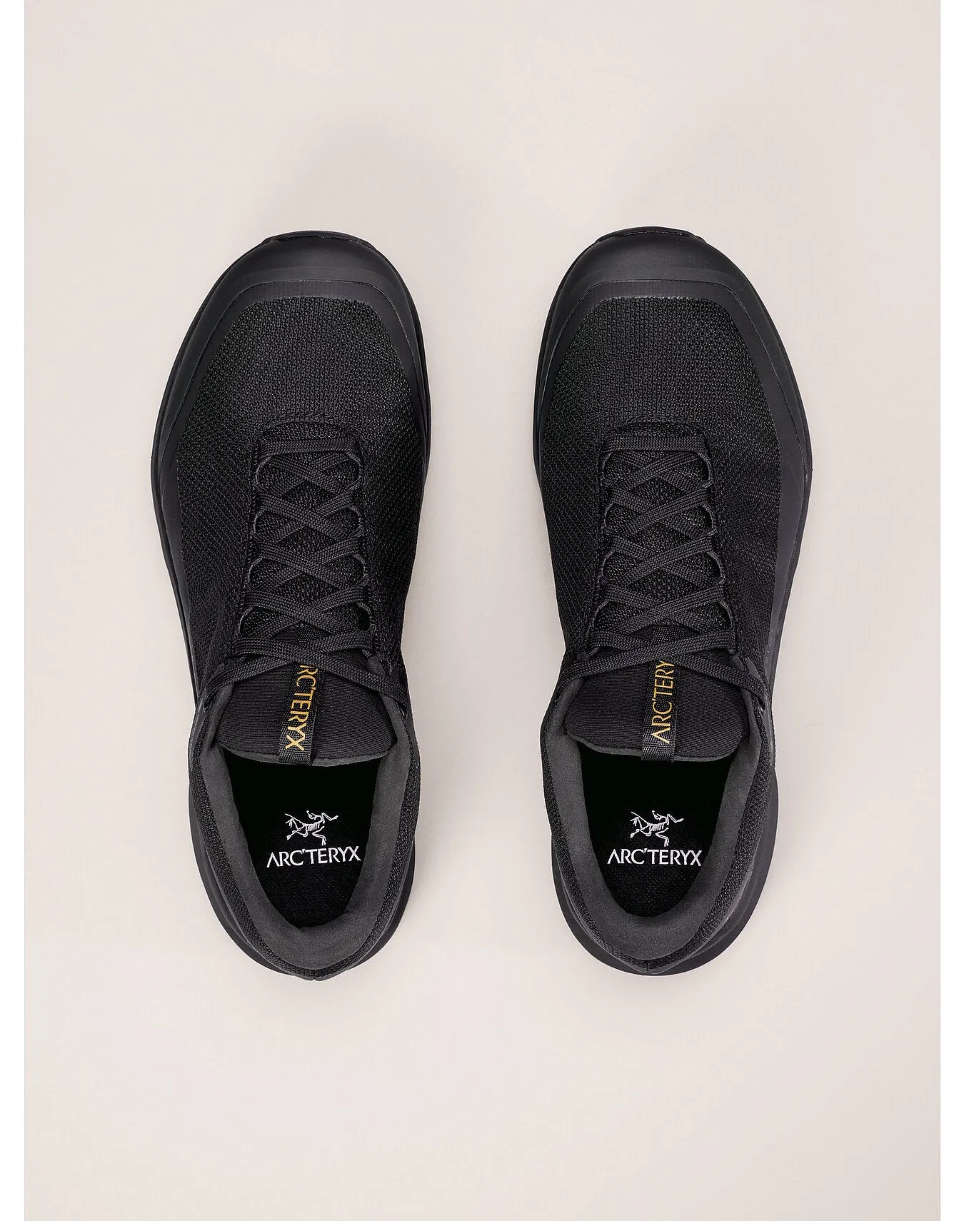 Aerios GTX Shoes (Women's) - X000006325 - Past Season