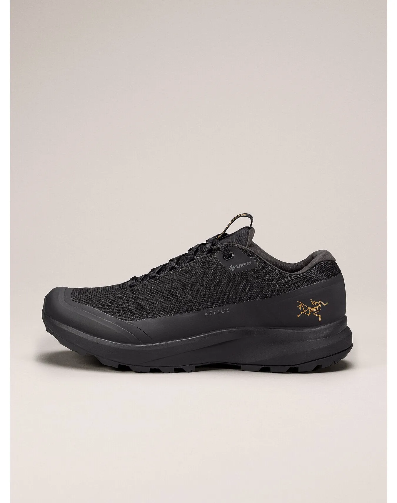 Aerios GTX Shoes (Women's) - X000006325 - Past Season