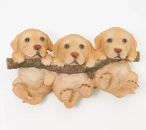 ANIMALS ON BRANCH,q56109pup