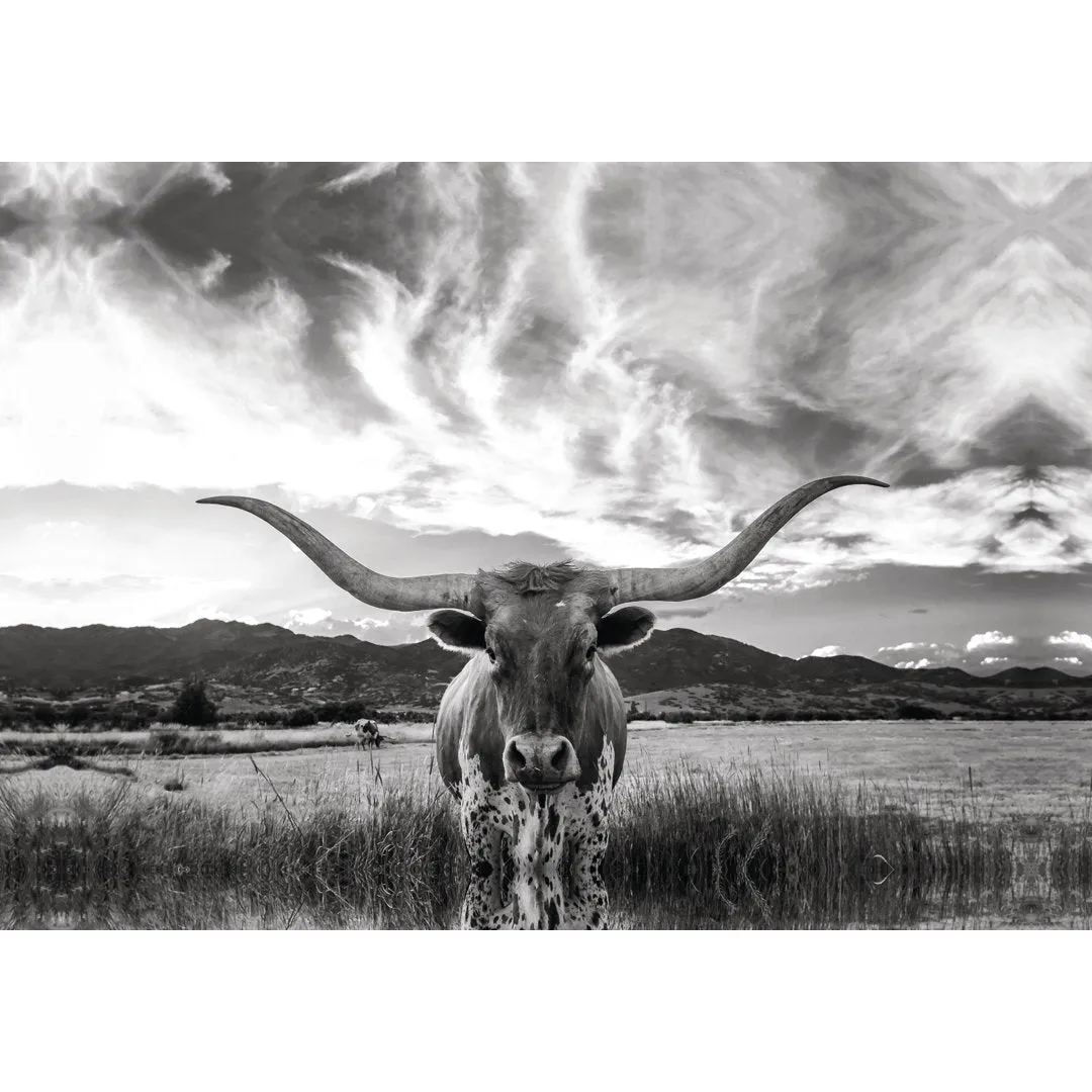 Black And White Longhorn Cow I - Wrapped Canvas Photograph Steelside™ Size: 32" H x 48" W   Mat Included: Yes, Format: Maple Framed Print