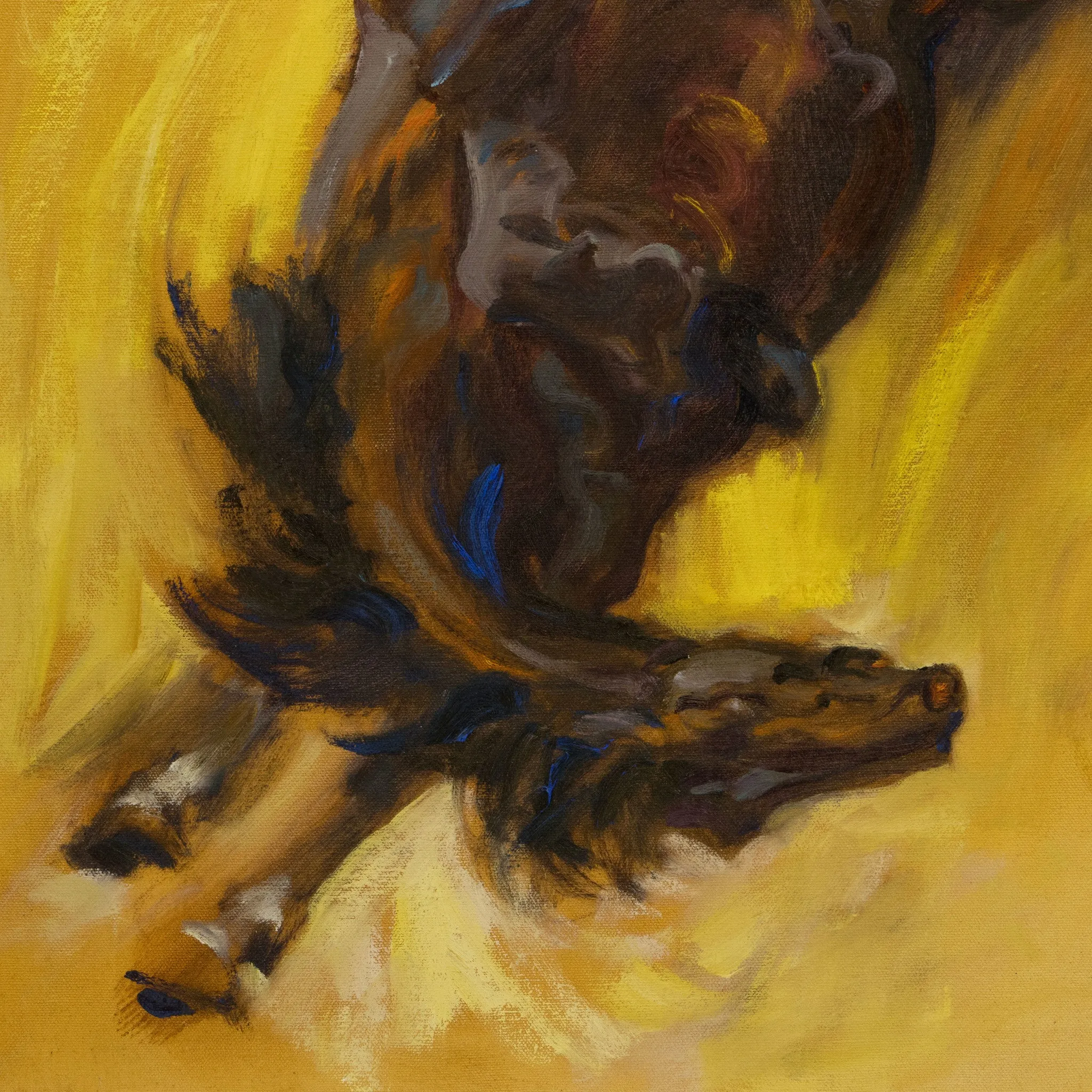 Bronco Rider by Keith Ward
