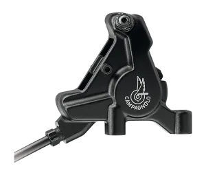 Campagnolo 12X2 Record Disc Mechanical Groupsets