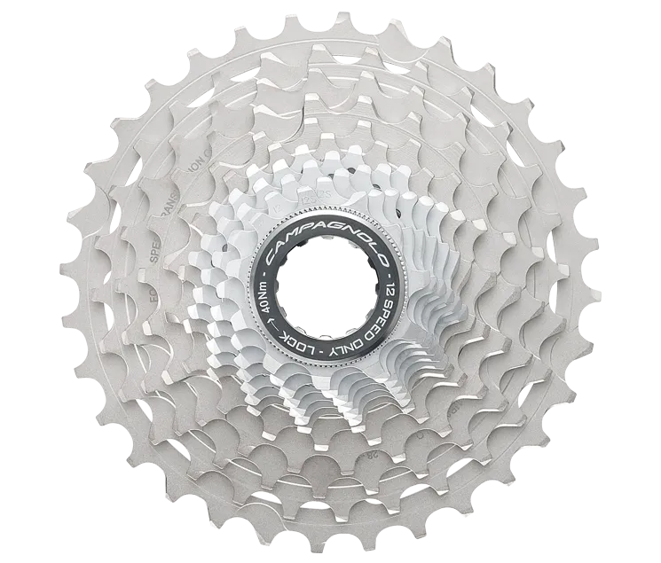 Campagnolo 12X2 Record Disc Mechanical Groupsets