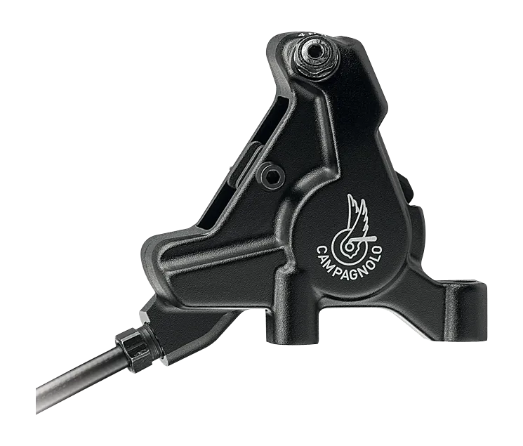 Campagnolo 12X2 Record Disc Mechanical Groupsets