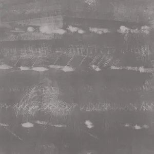 Cobra Tracks, Mink