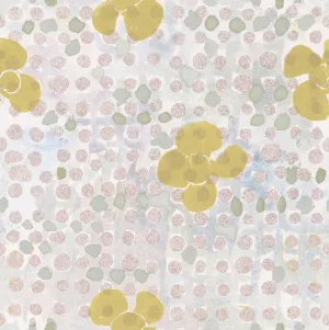 Daisy, Mixed