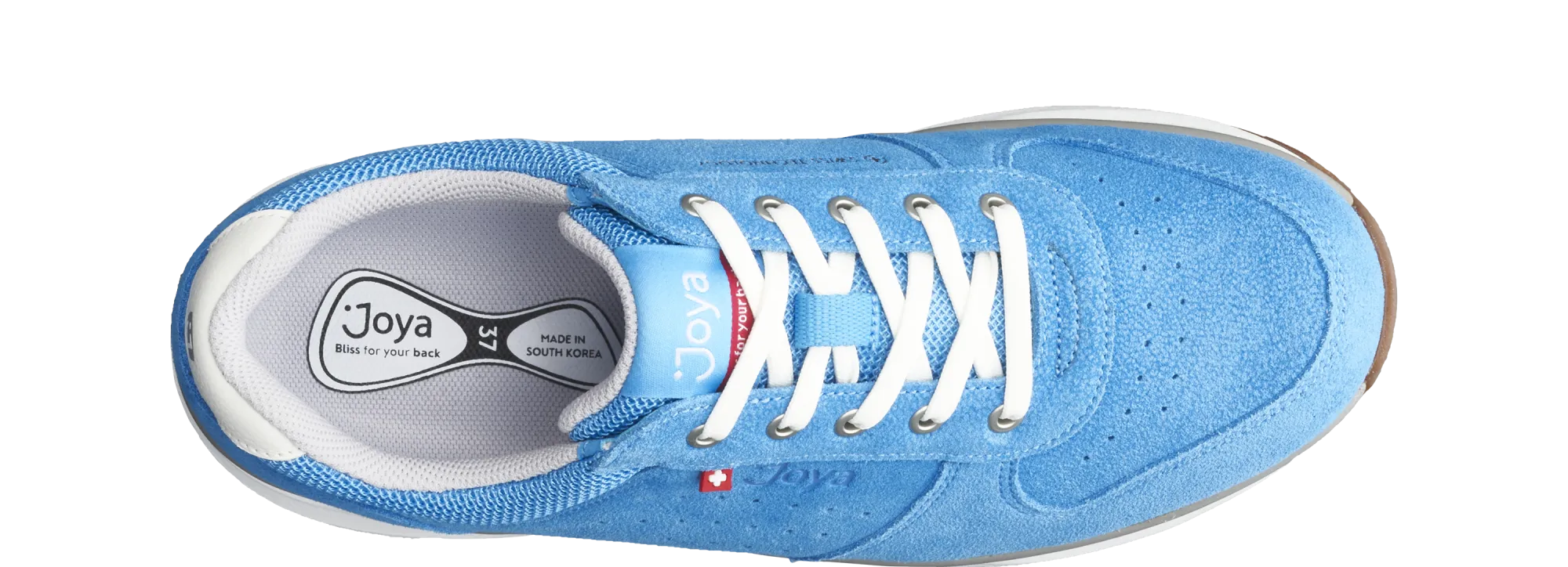 Dynamo Classic light blue