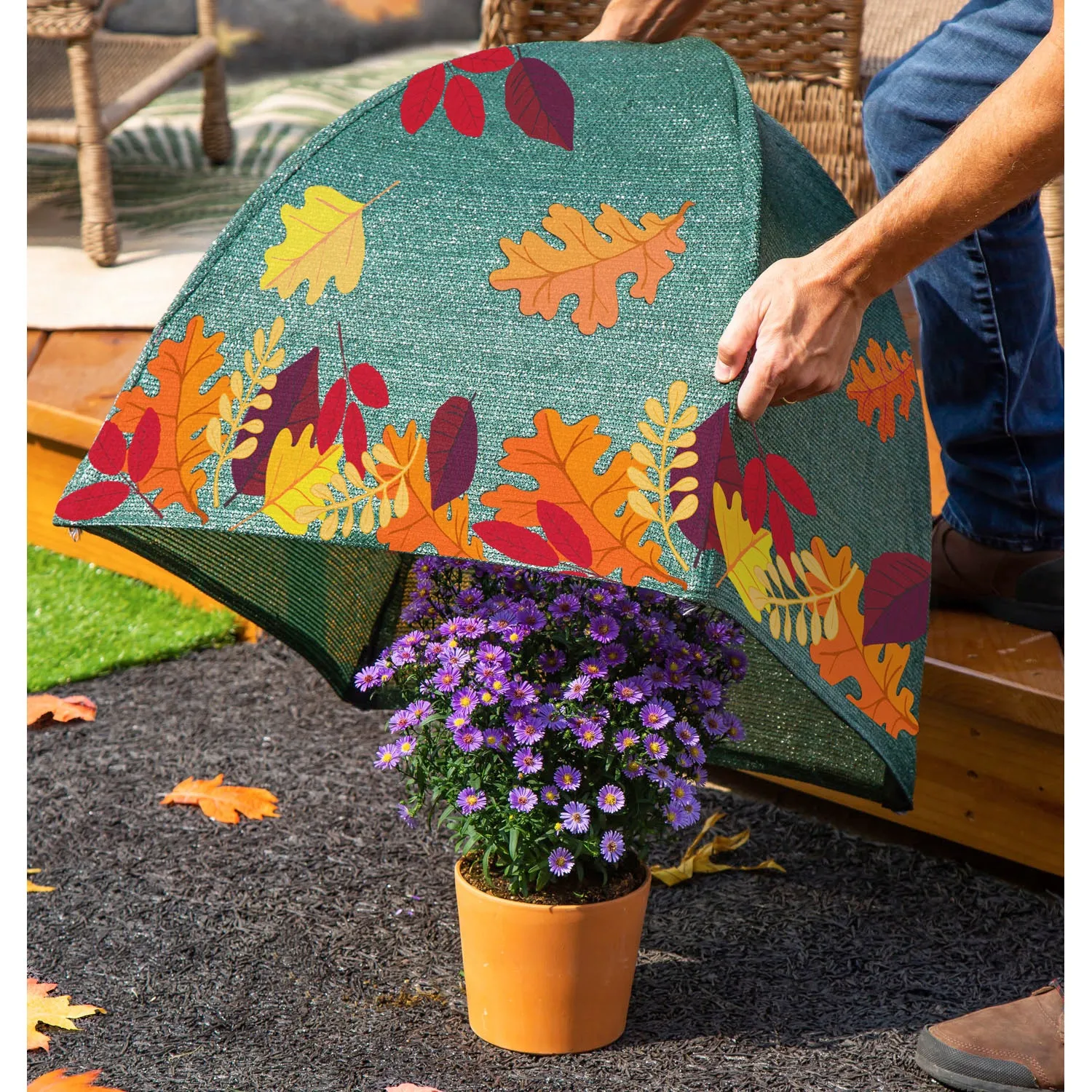Fall Leaves Tented Plant Cover, 22-inch,2plc001