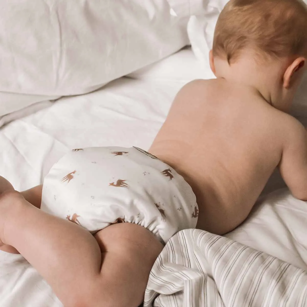 Fawn Reusable Nappy Set