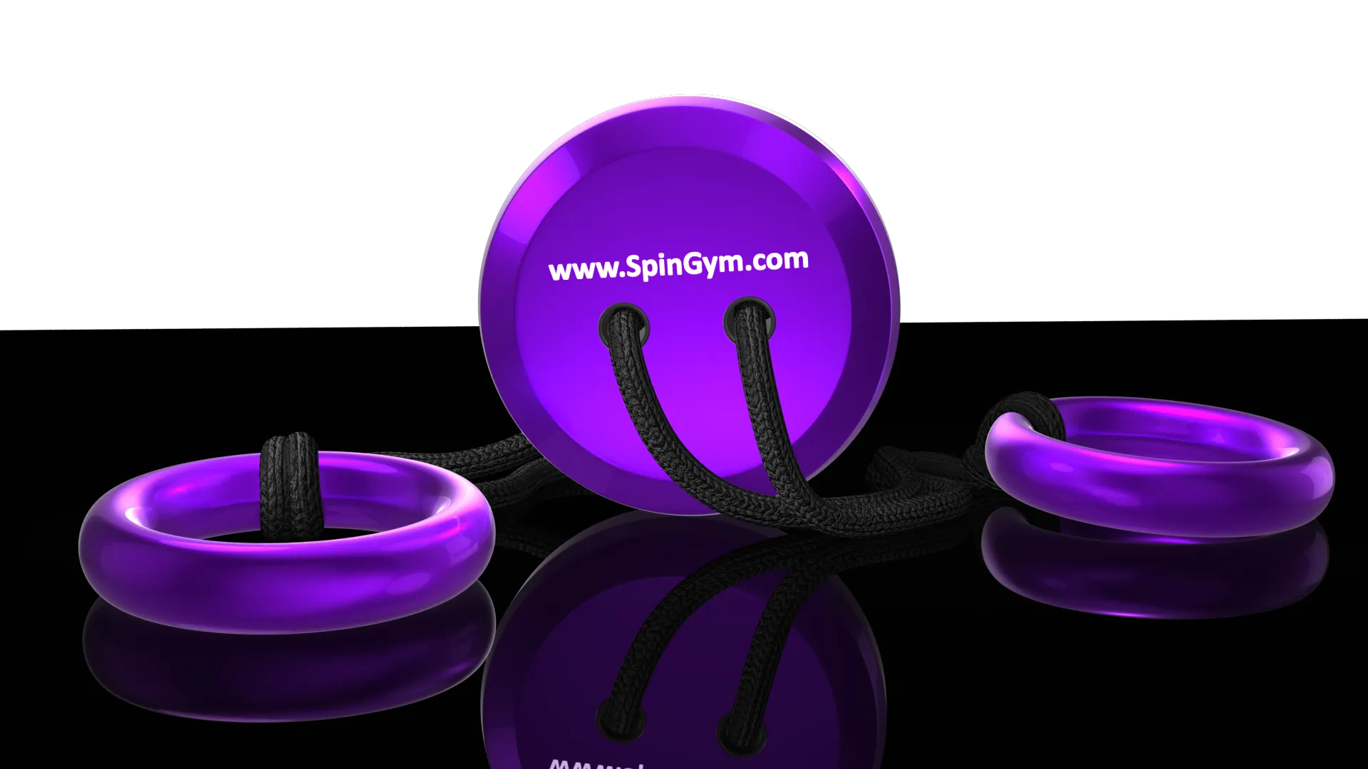 Forbes Riley SpinGym - THE PERECT at HOME Workout. Anytime, Anywhere!