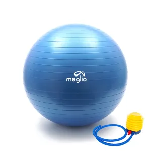 Free Anti-Burst Gym Ball