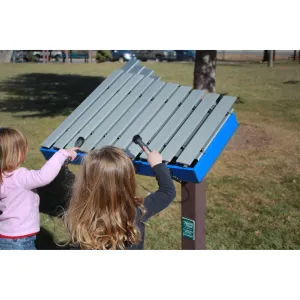 Freenotes Harmony Park Yantzee (Outdoor Music Instruments)
