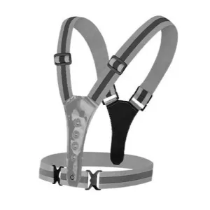 High visibility safety strap with light