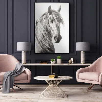 Horse Framed Canvas