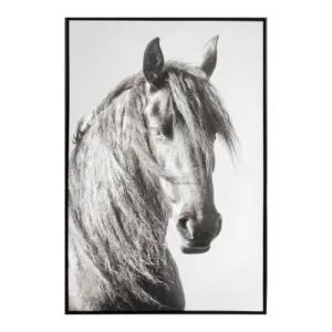 Horse Framed Canvas