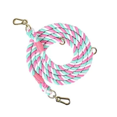 Large Traction Pet Walking Training Belt