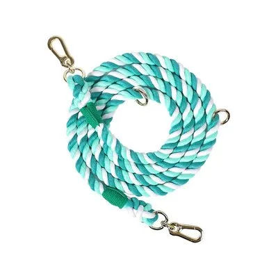 Large Traction Pet Walking Training Belt