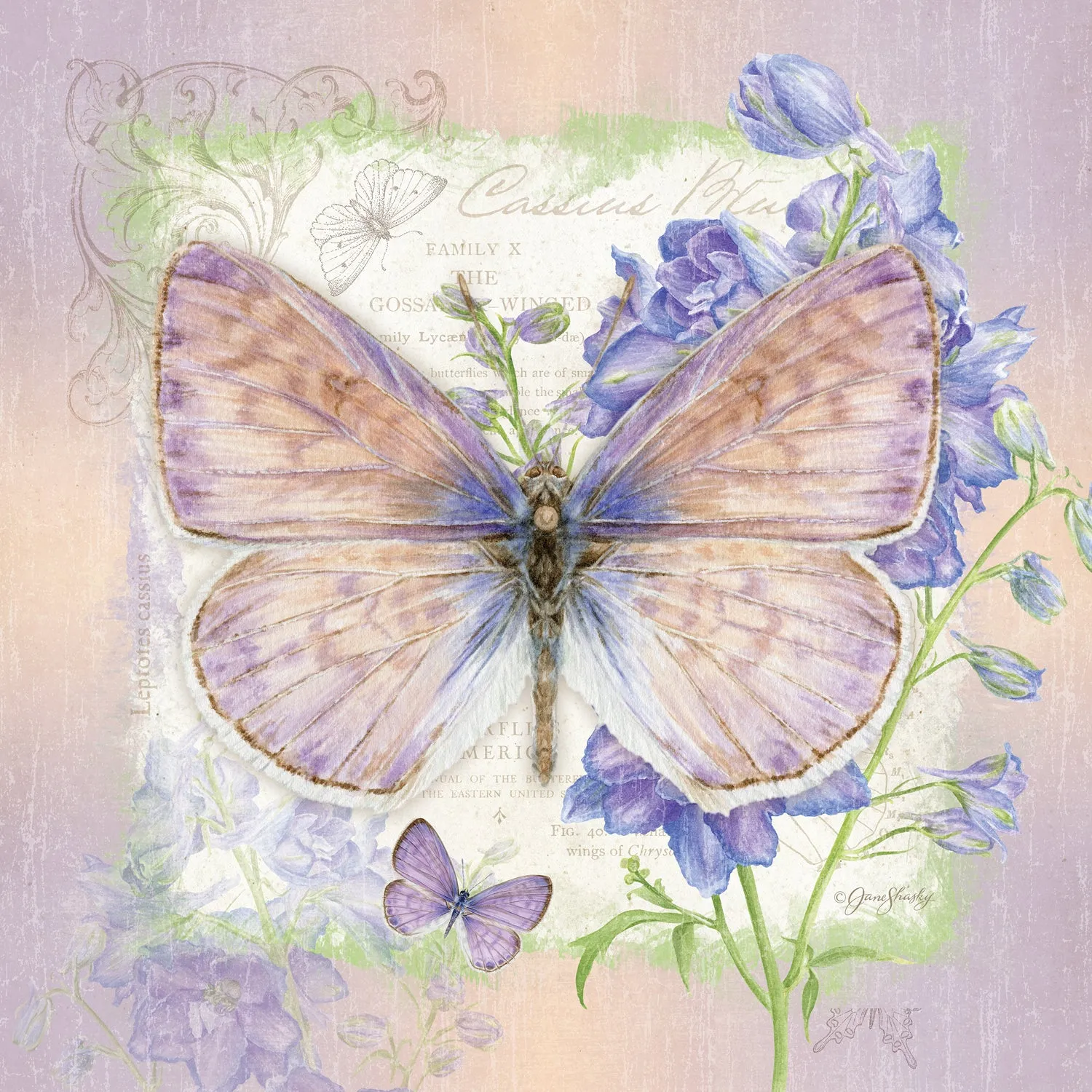 Lavender Butterfly and Delphinium Outdoor Wall Canvas, 24"x24",6oc10002