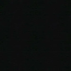 Lee Jofa-Soleil Canvas-Black