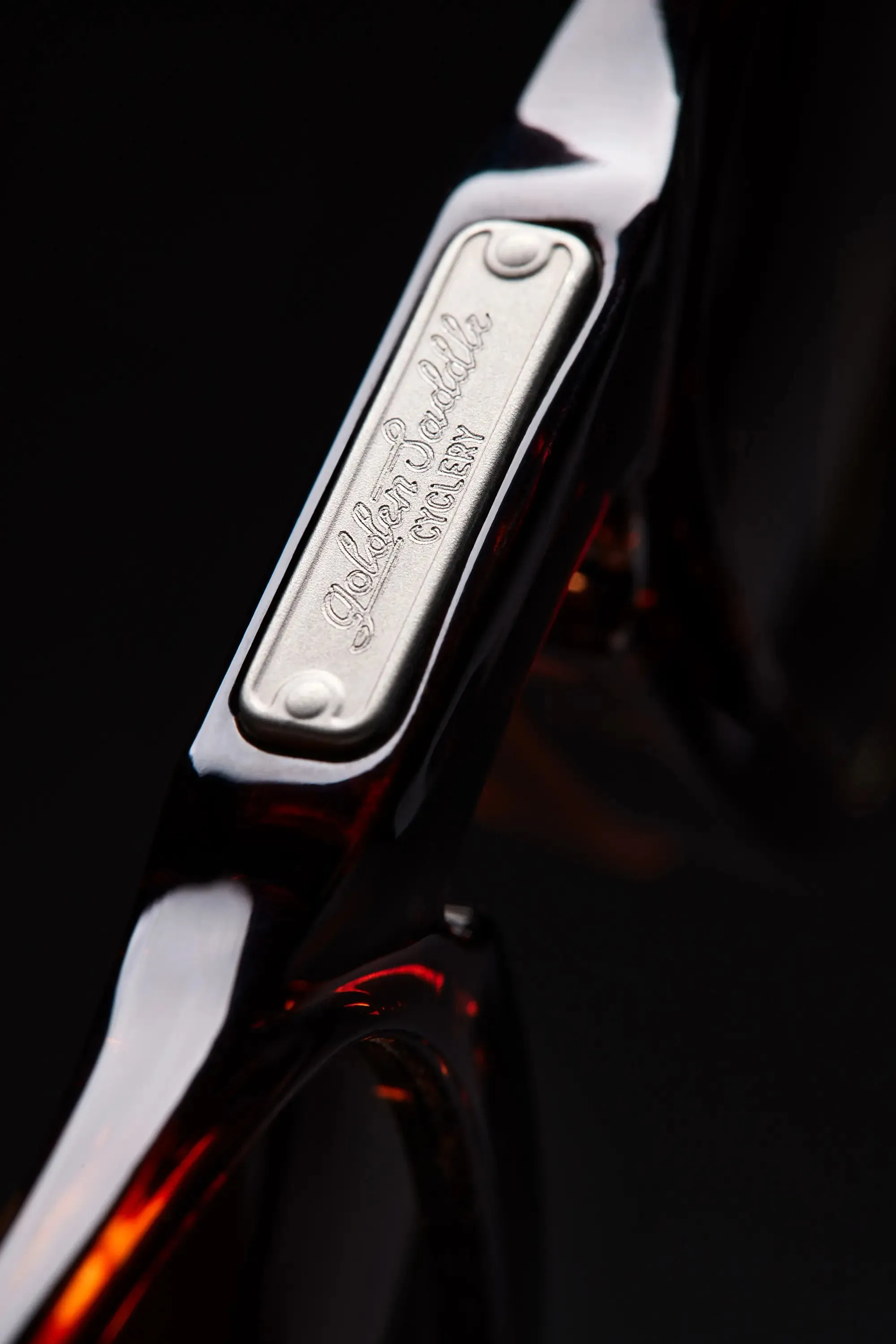 LINTO GRAVEL RIDER-Tortoise / Earth Vision