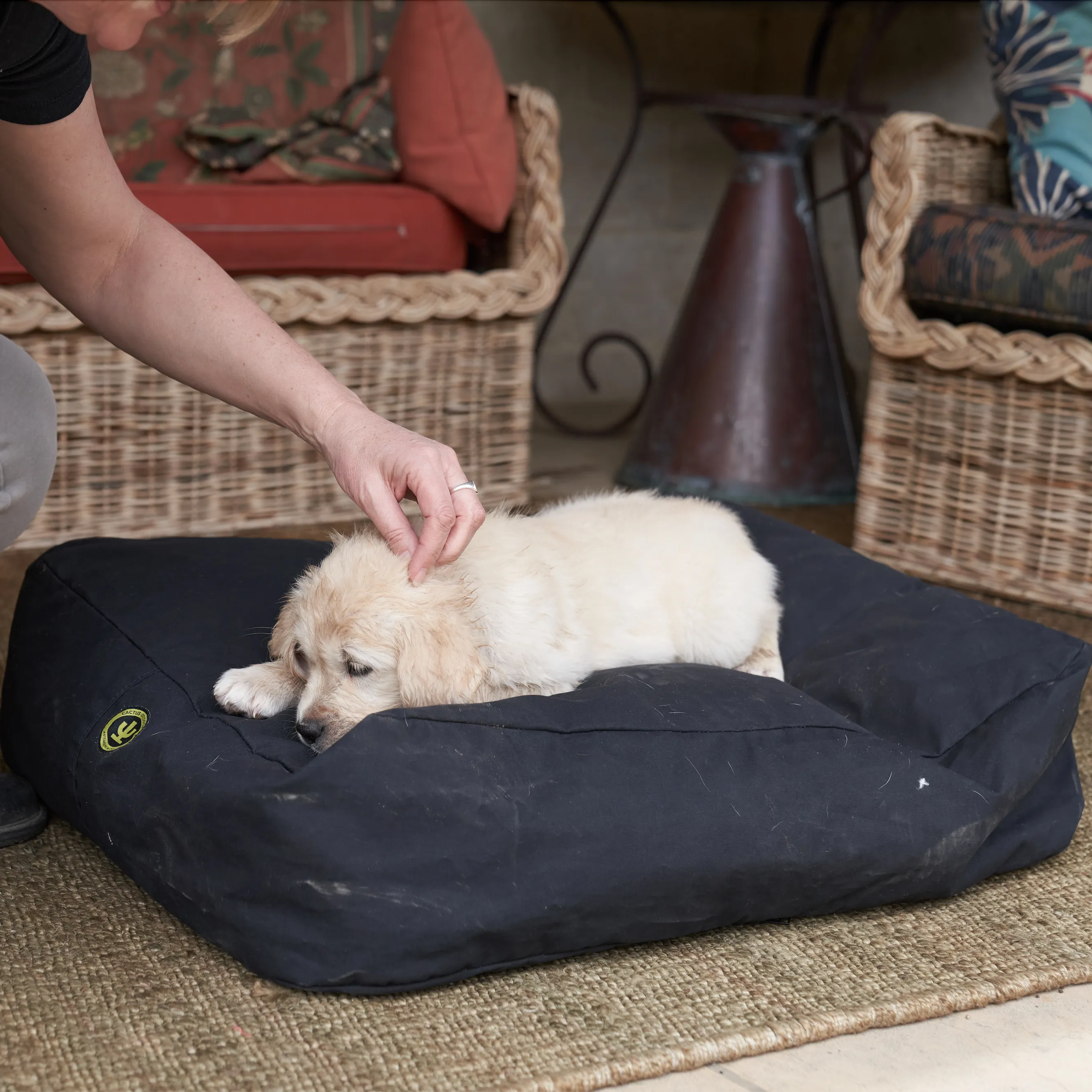 Mongrel Mat