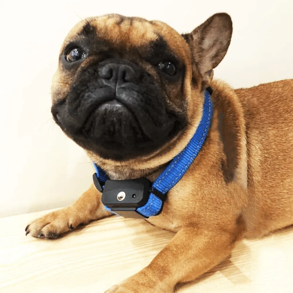 No Shock Citronella Spray Dog Anti Barking Training Collar