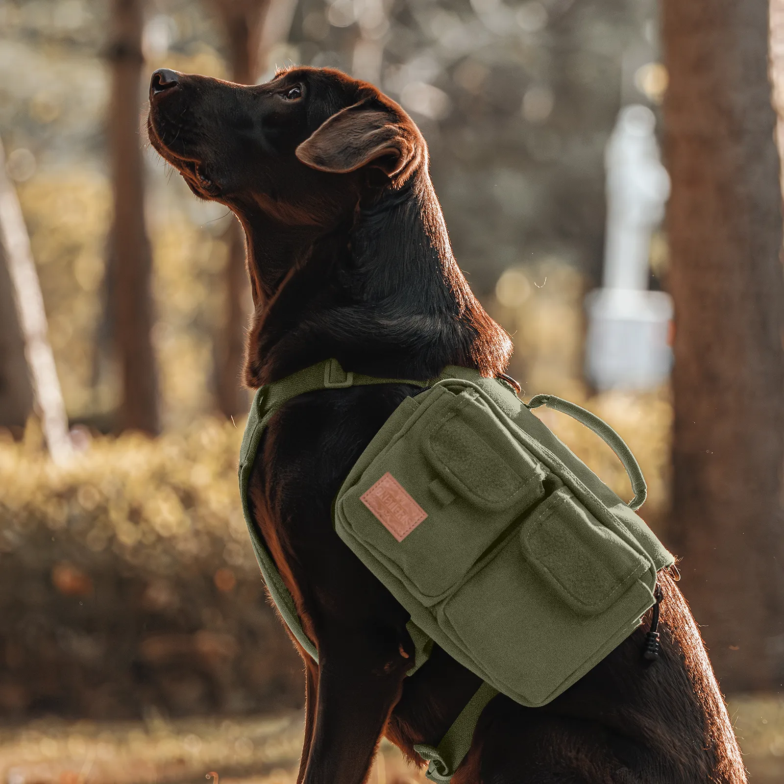 ONETIGRIS HOPPY CAMPER Dog Pack 3.0