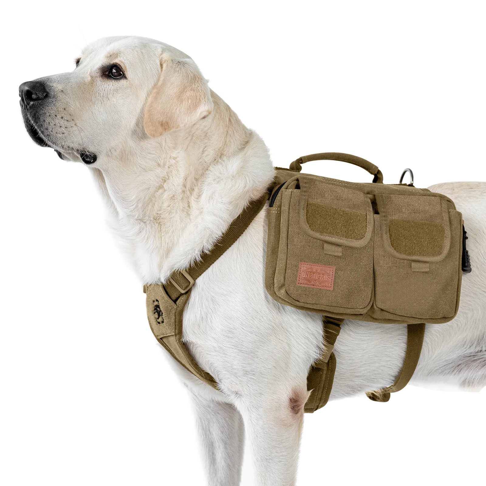 ONETIGRIS HOPPY CAMPER Dog Pack 3.0