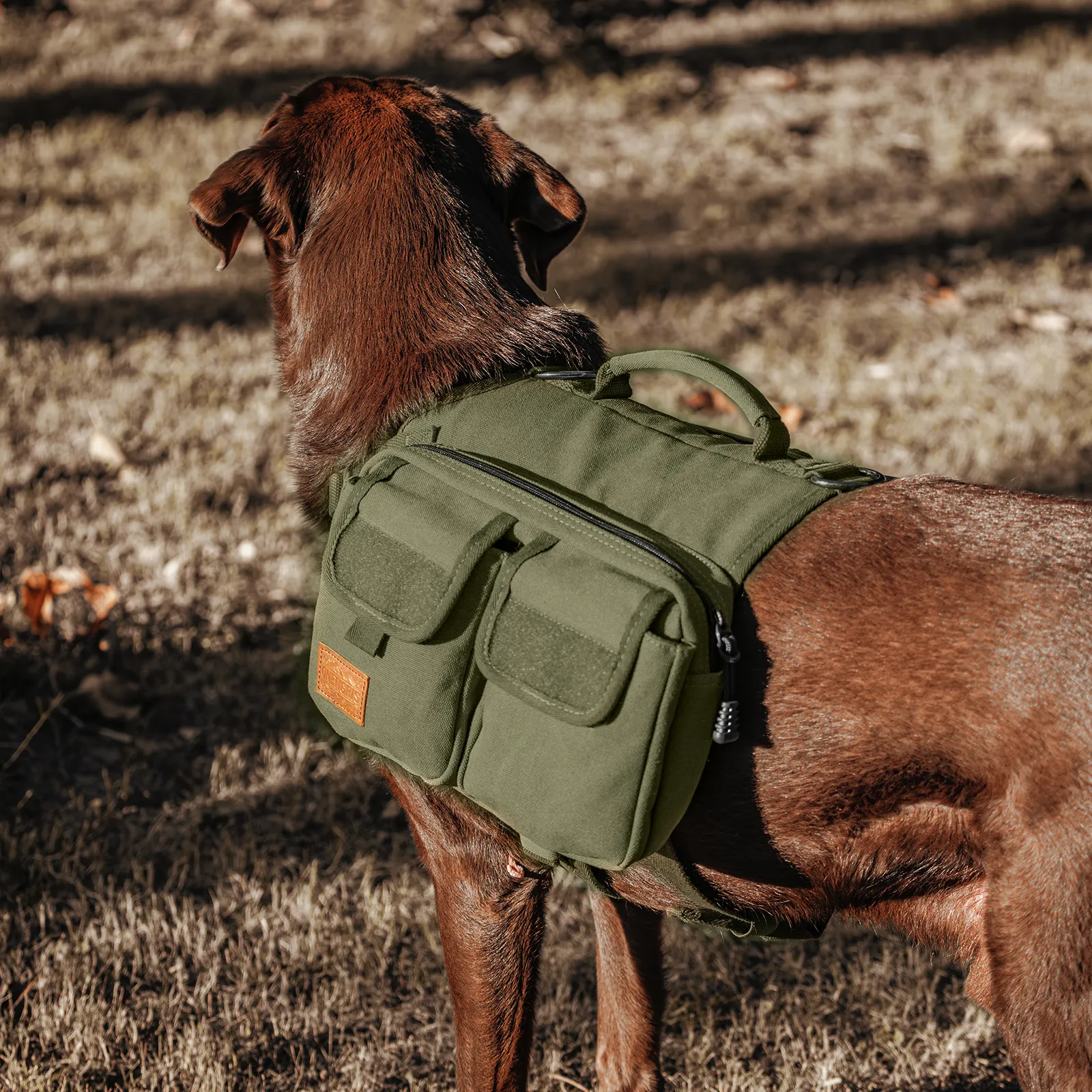 ONETIGRIS HOPPY CAMPER Dog Pack 3.0
