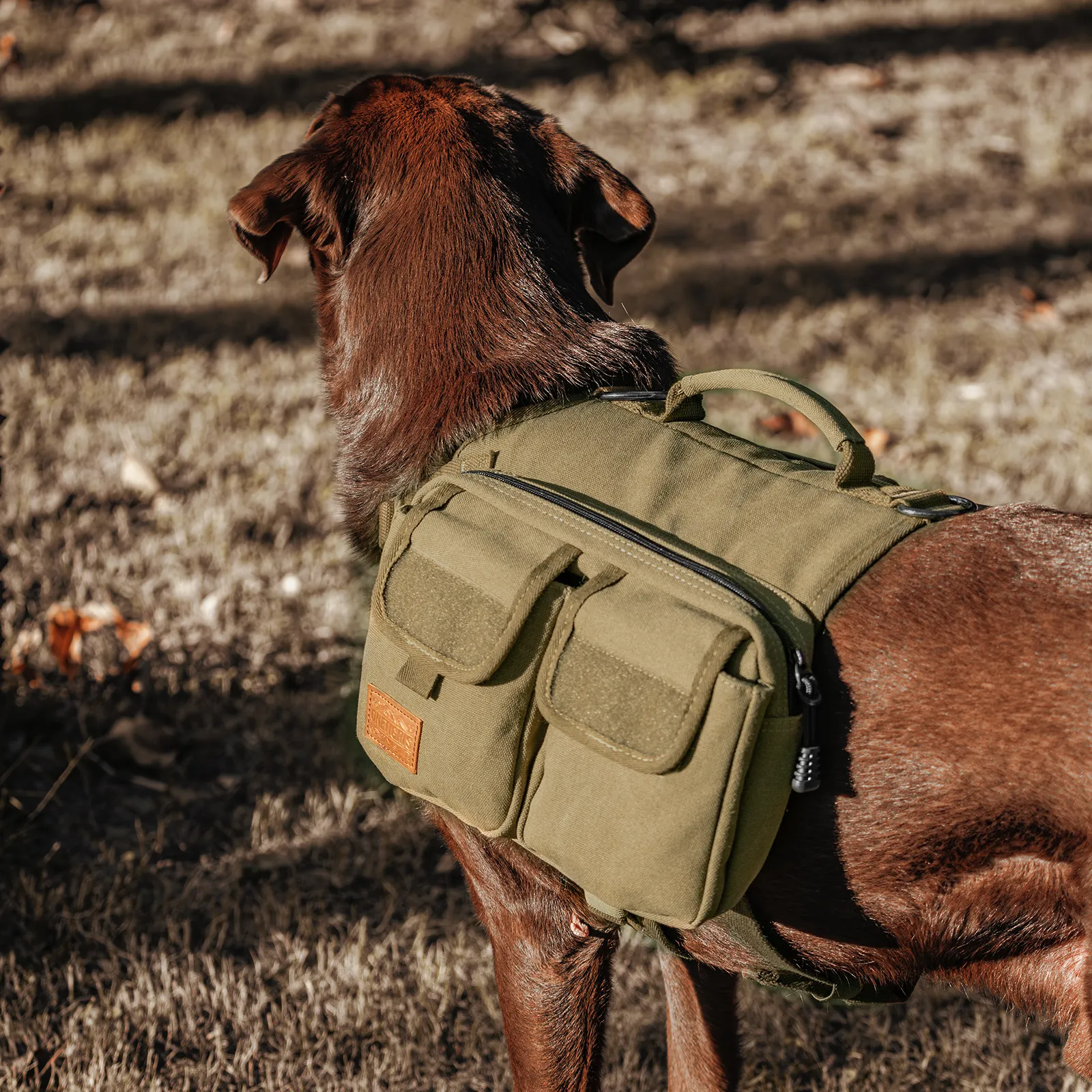 ONETIGRIS HOPPY CAMPER Dog Pack 3.0
