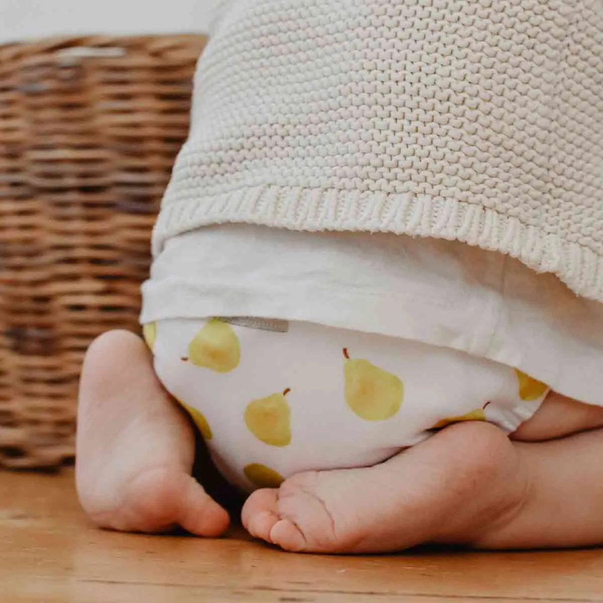 Pear Reusable Nappy Set