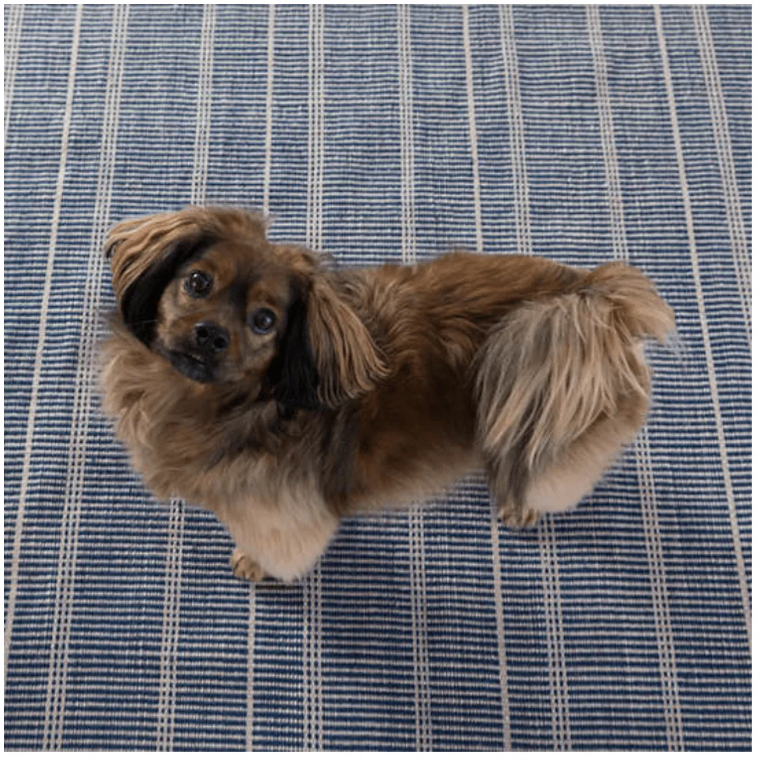 Samson Navy Handwoven Indoor/Outdoor Rug