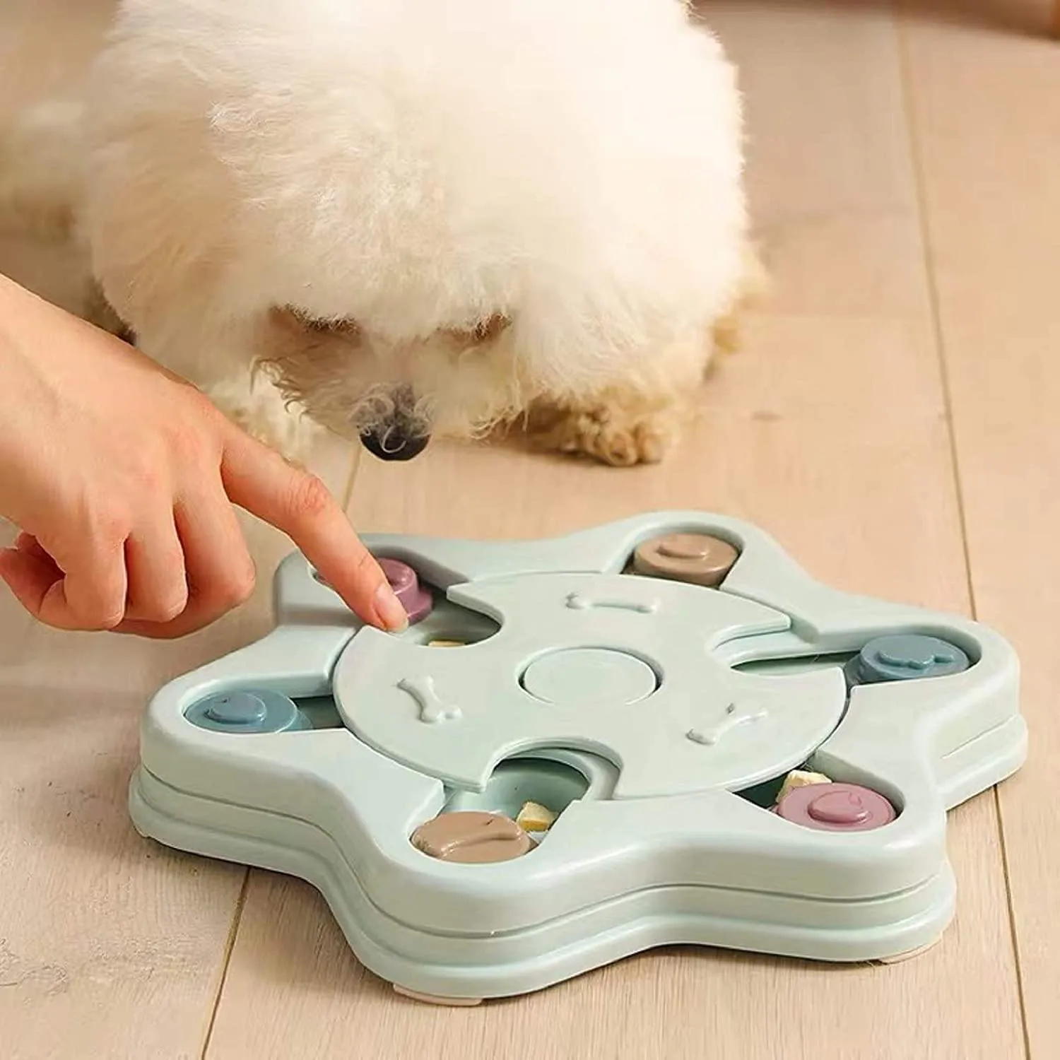 SmartPaw™ Puzzle | Improve Your Dog's IQ
