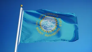 South Dakota Outdoor State Flag - #402831