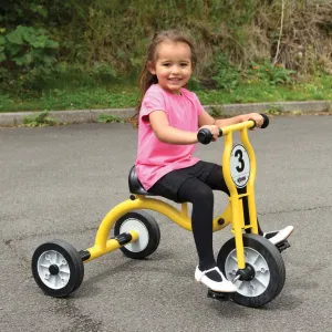 Wisdom Large Trike